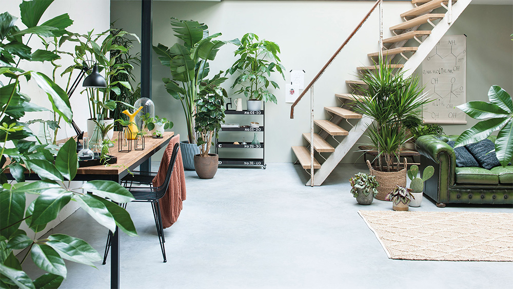 Monstera-plant-groen-wonen-botanisch-industrieel-interieur-planten-in-huis-interieur-stoere-plant-gatenplant-10