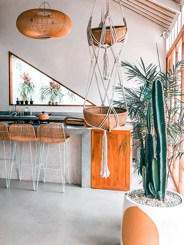 Cactus-interieur-groene-planten-groen-wonen-botanisch-interieur-natuur-interieur-decoratie-woonaccessoires