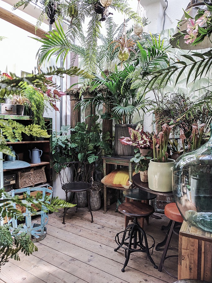 Botanisch interieur groen wonen groen in huis groene woonkamer planten in huis botanische interieurstijl