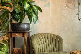 Wat doet de kleur groen in je interieur? Welke kleur past goed bij groen? Groen interieur woonkamer Bruin en groen combineren groen in huis groen in je interieur groene woonkamer de kleur groen combineren met groen groene fauteuil