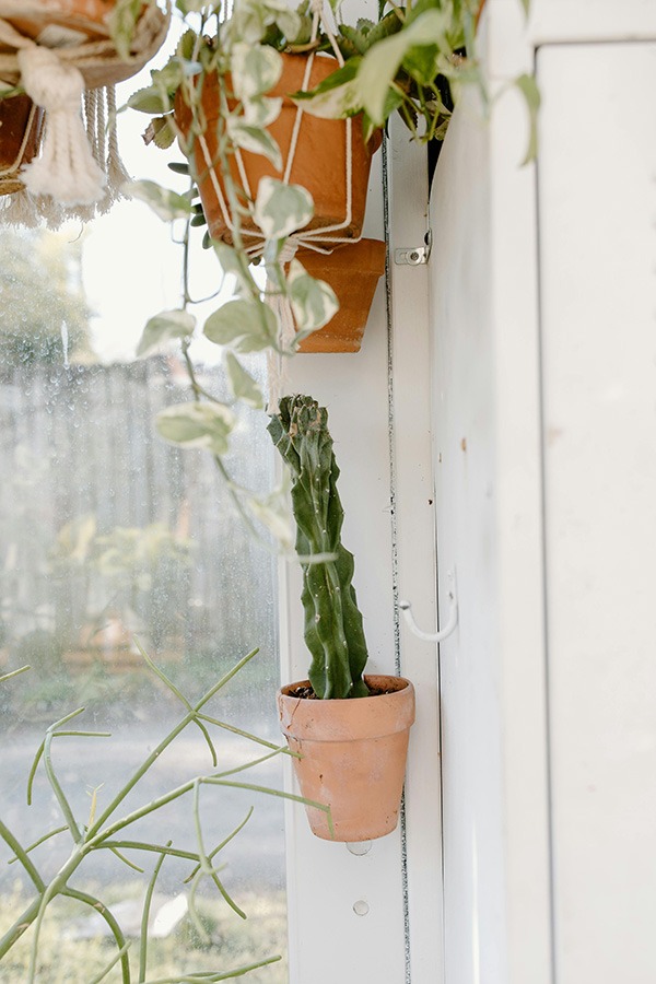 Wat doet de kleur groen in je interieur? Welke kleur past goed bij groen? Groen interieur woonkamer Bruin en groen combinerengroen in huis groen in je interieur groene woonkamer de kleur groen combineren met wit en terracotta cactus in terracotta potten hangende planten