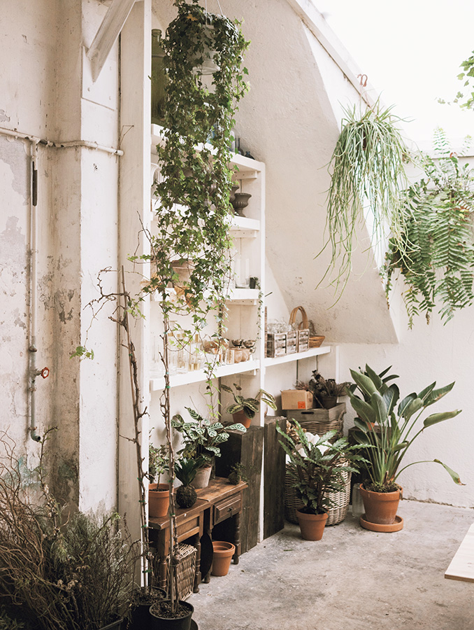 Planten-interieur-planten-woonkamer-groen-interieur-groen-wonen-jungle-interieur-botanische-woonstijl-1