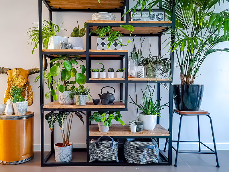 Planten-interieur-planten-woonkamer-groen-interieur-groen-wonen-jungle-interieur-botanische-woonstijl