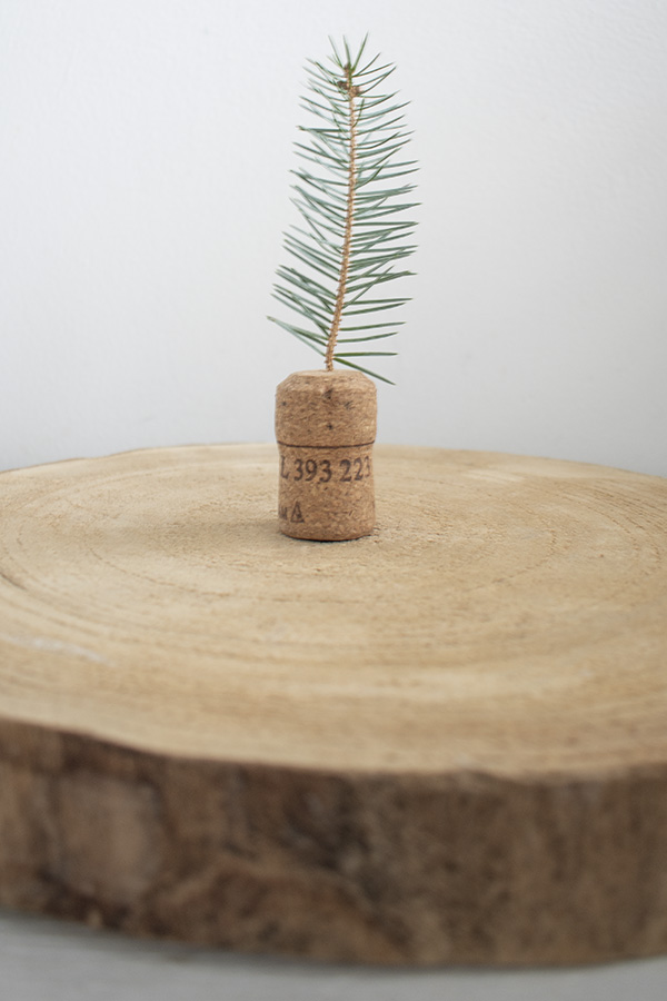 diy-kerst-kerstversiering-kerstdecoratie-binnen-natuurlijke-kerstdecoratie-originele-kerstversiering-decoratie-kerst-kerstdecoratie-vensterbank