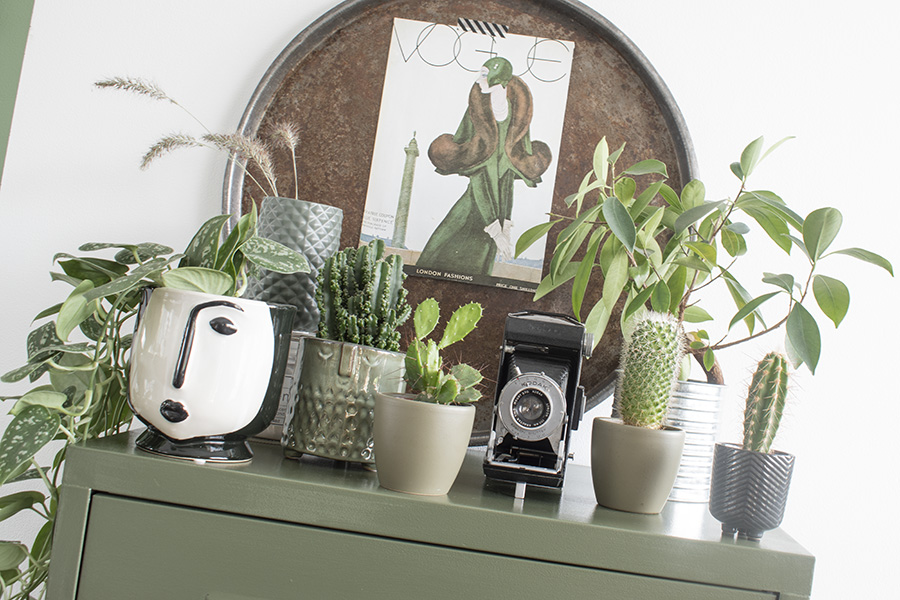 Groene-kast-olijfgroene-kast-groen-kastje-lockerkast-groen-interieur-olijfgroen-interieur-groen-in-huis-botanisch-interieur