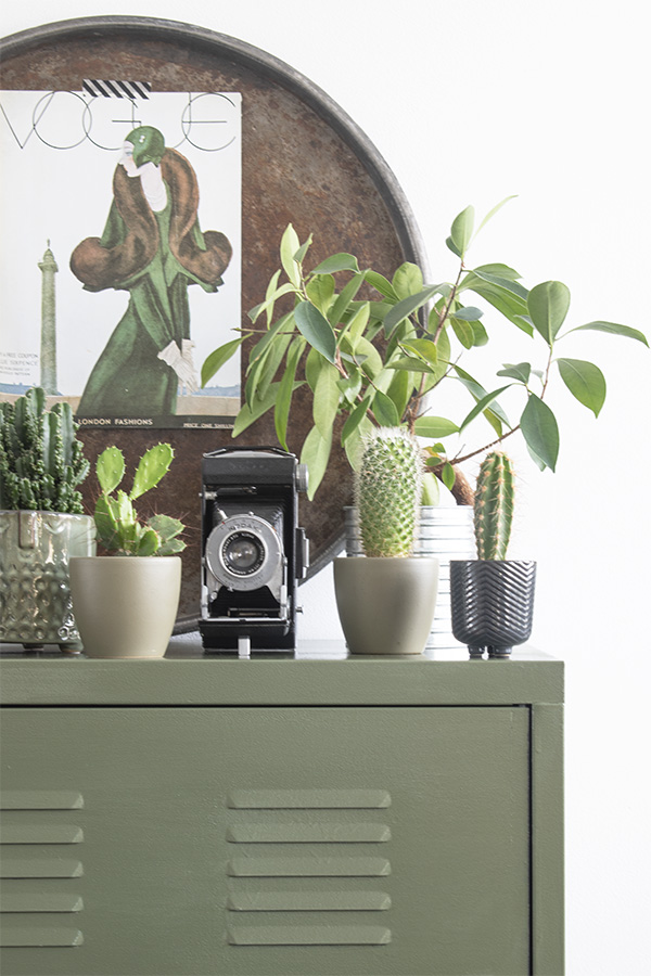 Groene-kast-olijfgroene-kast-groen-kastje-lockerkast-groen-interieur-olijfgroen-interieur-groen-in-huis-botanisch-interieur