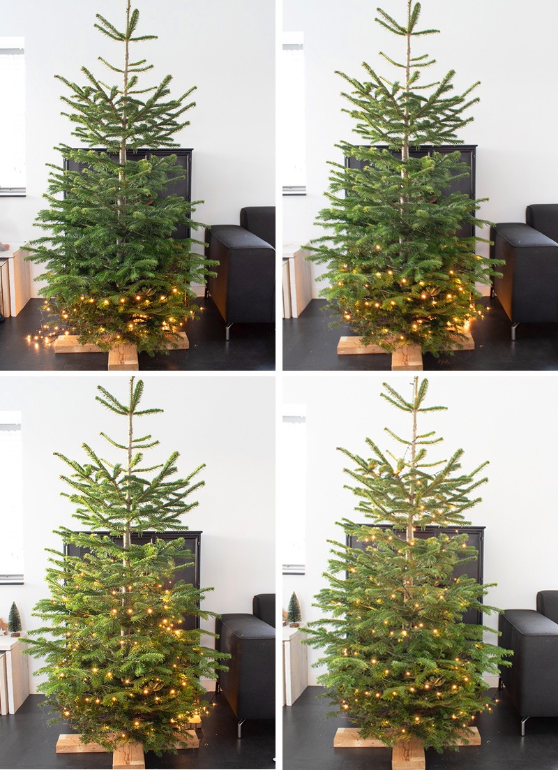 Kerstboom versieren hoe versier je een kerstboom kerstboom decoreren kerstboom stylen kerstboom kerstballen