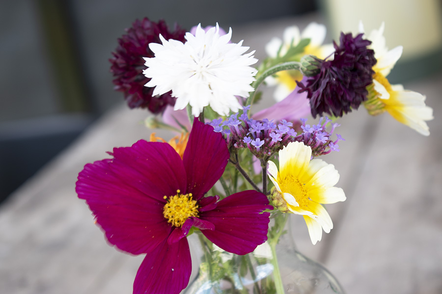 Wilde-bloemen-veldbloemen-vaasje bloemen in huis wilde bloemen vaas botanisch interieur