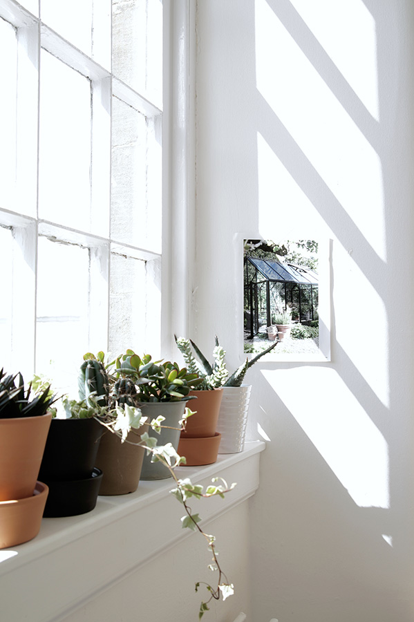 Wit interieur witte woonkamer witte slaapkamer witte eetkamer witte keuken witte entree witte hal witte werkkamer