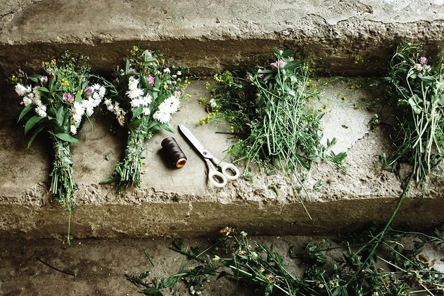 pluktuin voor beginners wilde bloementuin wilde bloemen pluktuin pluktuin bloemen oranje & gele wilde bloemen paarse & blauwe wilde bloemen witte wilde bloemen rode & roze wilde bloemen