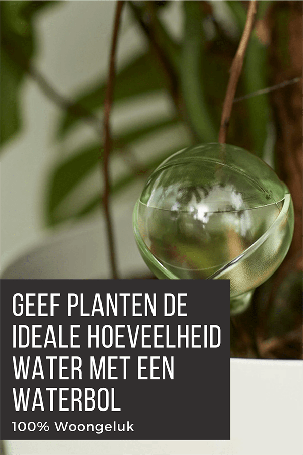 waterdispenser waterdruppelaar waterbol waterbol plant planten waterbol waterdruppelaar kamerplant waterbollen plant waterdruppelaar planten elho waterbol waterbollen voor kamerplanten plant waterbol waterbollen planten hoe werkt een waterdruppelaar waterdruppelaars voor planten