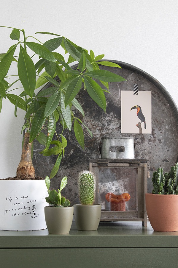 Terracotta combineren groene decoratie stylen interieur groen kastje planten in huis groen in huis woonblog