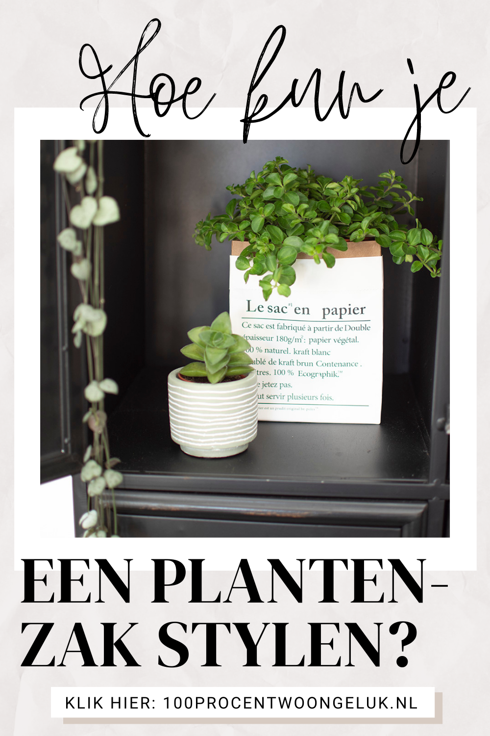 papieren plantenzak leren plantenzak plant in zak plantenzakken plantenzak muur planten in zak witte plantenzak