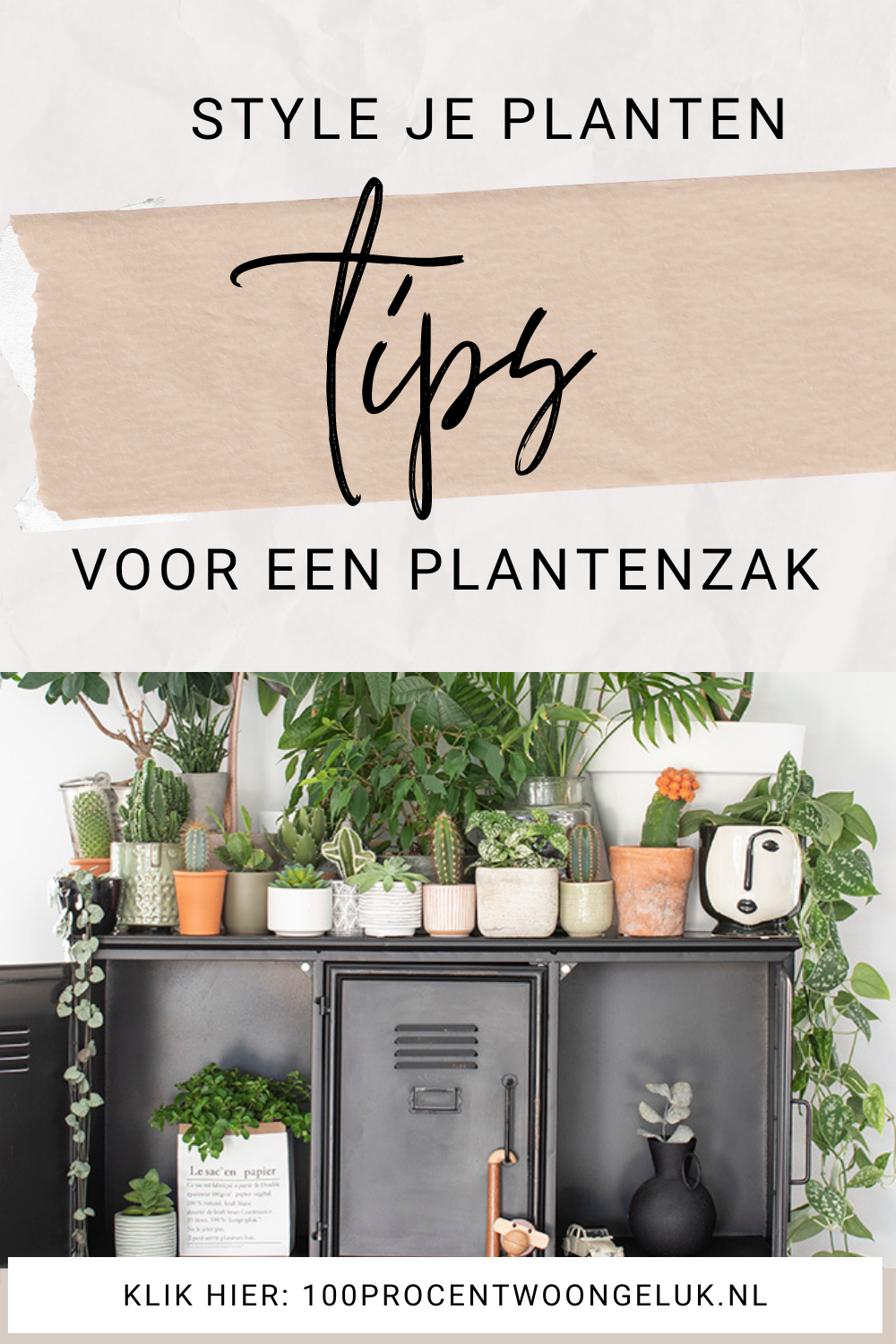 papieren plantenzak leren plantenzak plant in zak plantenzakken plantenzak muur planten in zak witte plantenzak