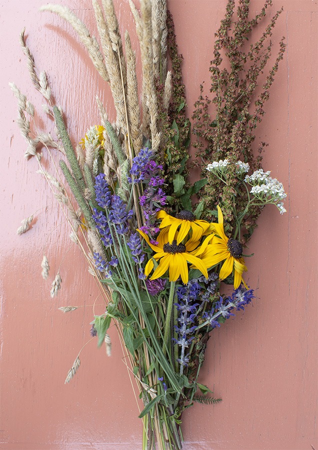 bloemenpers bloemen persen bloemenpers hema houten bloemenpers dille en kamille bloemenpers grote bloemenpers bloemenpers zelf maken bloemen persen geperste bloemen geperste droogbloemen droogbloemen lijstje