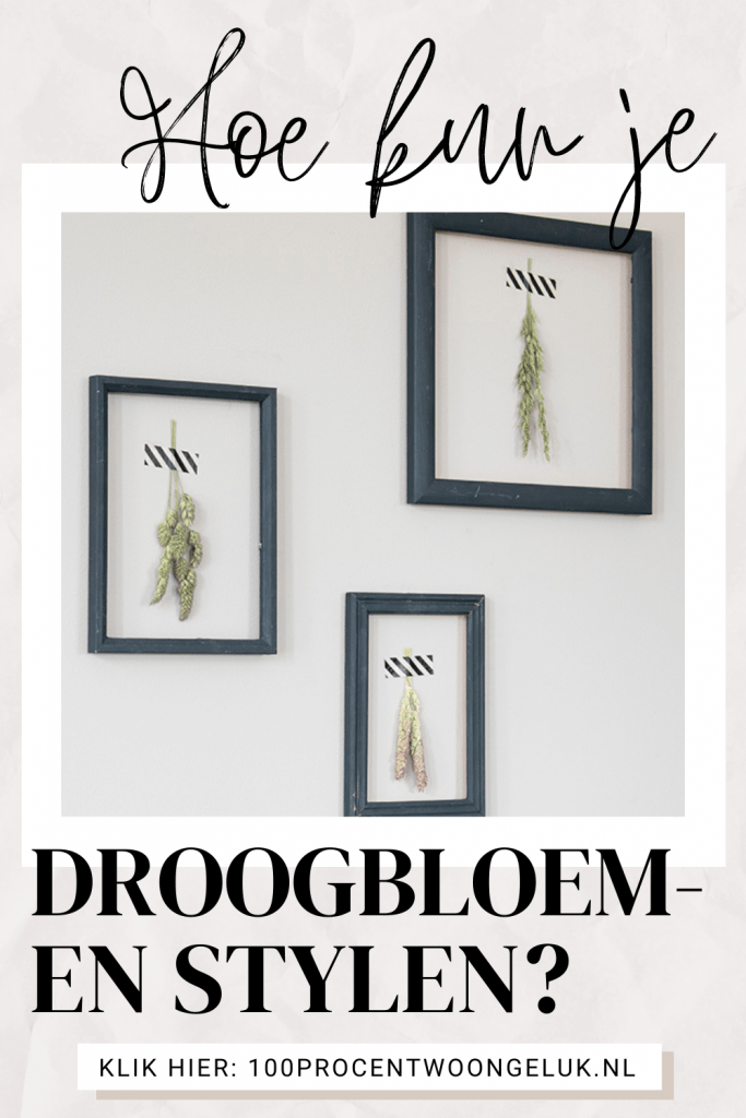 gedroogde bloemen ingelijst geperste droogbloemen gedroogde geperste bloemen gedroogde bloemen gedroogde bloemen aan de muur gedroogde veldbloemen fotolijst met gedroogde bloemen gedroogde bloemen ingelijst gedroogde bloemen in glas kleine gedroogde bloemen