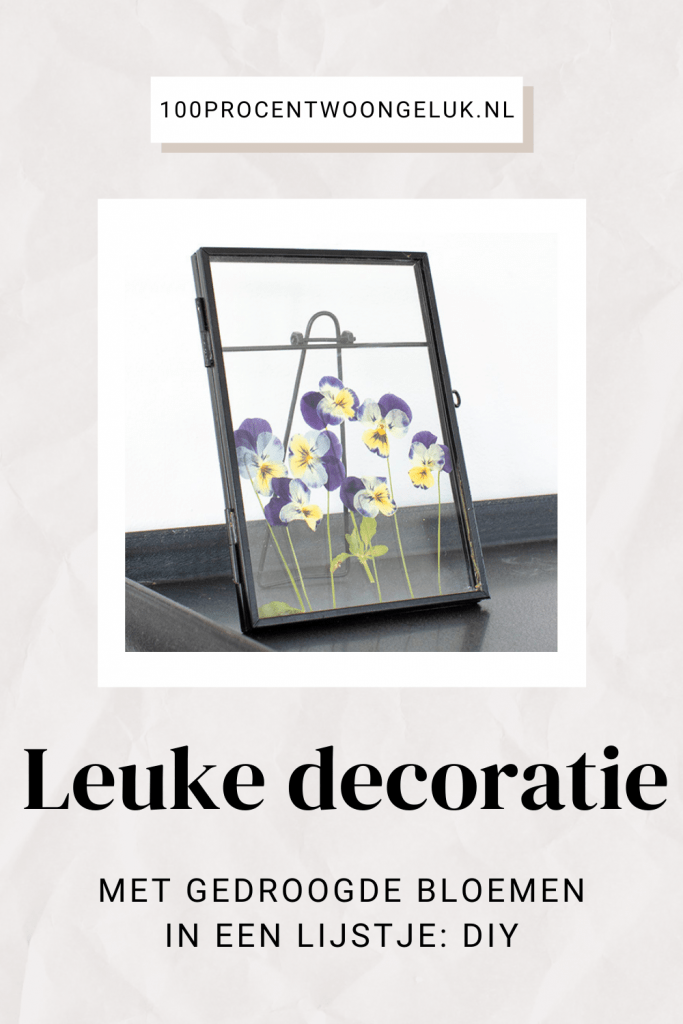 geperste bloemen geperste bloemen kopen geperste bloemen ingelijst geperste droogbloemen gedroogde geperste bloemen gedroogde bloemen gedroogd boeket gedroogde bloemetjes lavendel droogbloemen gedroogde bloemen achter glas gedroogde bloemen aan de muur gedroogde veldbloemen gedroogde bloemen lijst gedroogde bloemen in lijst fotolijst gedroogde bloemen gedroogde bloemen ingelijst gedroogde bloemen in lijst kopen fotolijst met gedroogde bloemen