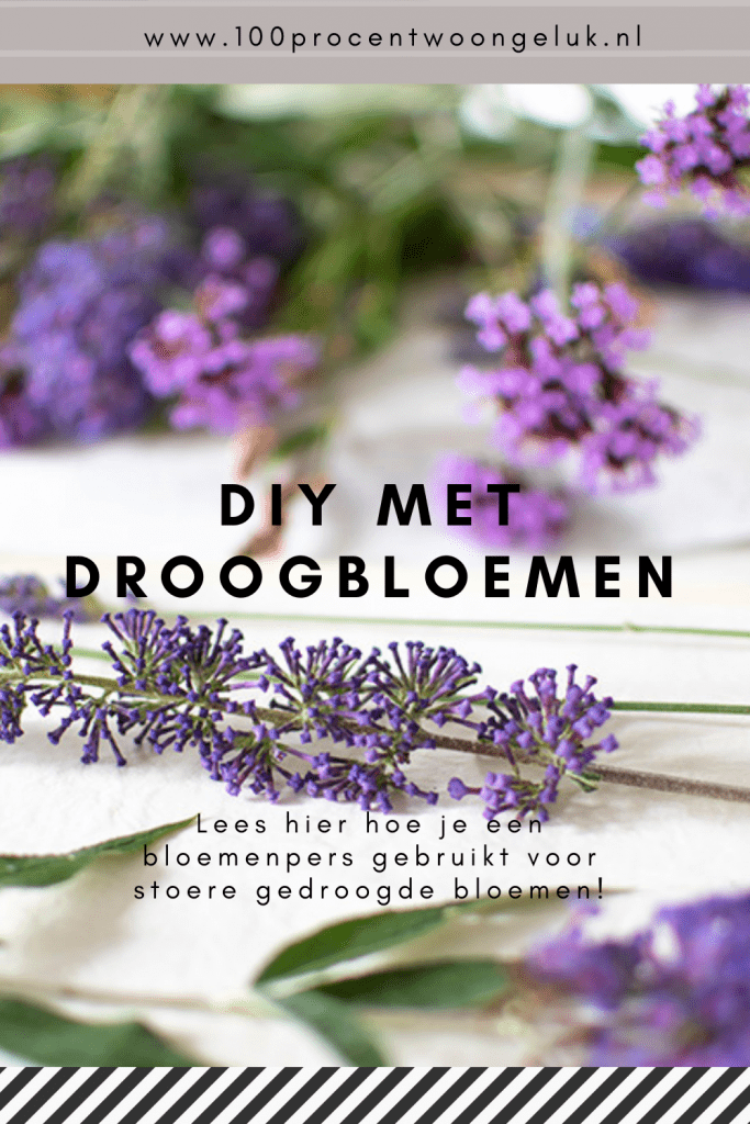 bloemenpers bloemen persen bloemenpers hema houten bloemenpers dille en kamille bloemenpers grote bloemenpers bloemenpers zelf maken bloemen persen geperste bloemen geperste droogbloemen droogbloemen lijstje