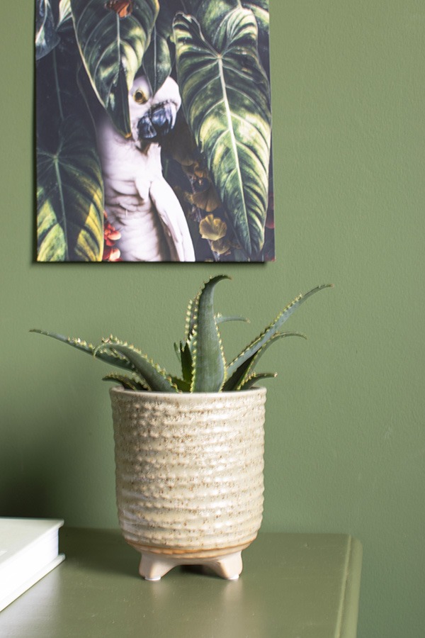 ton sur ton kleuren wat betekent ton sur ton ton sur ton woonkamer ton sur ton groen ton sur ton kleurencombinaties ton sur ton beige groen interieur interieur groene muur kleurenpalet groen alle kleuren groen woonkamer groen verschillende kleuren groen