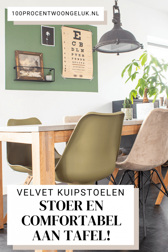 eetkamerstoelen eetstoelen kuipstoel velvet eetkamerstoel kuipstoelen groene eetkamerstoelen grijze eetkamerstoelen eetkamerstoel groen fluwelen eetkamerstoel eetkamerstoelen in verschillende kleuren