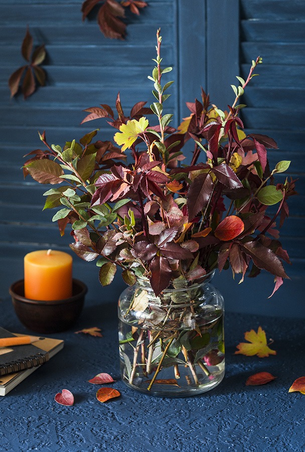 herfstdecoratie herfstdecoratie maken herfstversiering herfstdecoratie 2020 herfstversiering in huis herfstdecoratie in vaas herfst interieur herfst interieur 2020 herfst interieur 2021 herfstdecoratie 2021 herfst accessoires