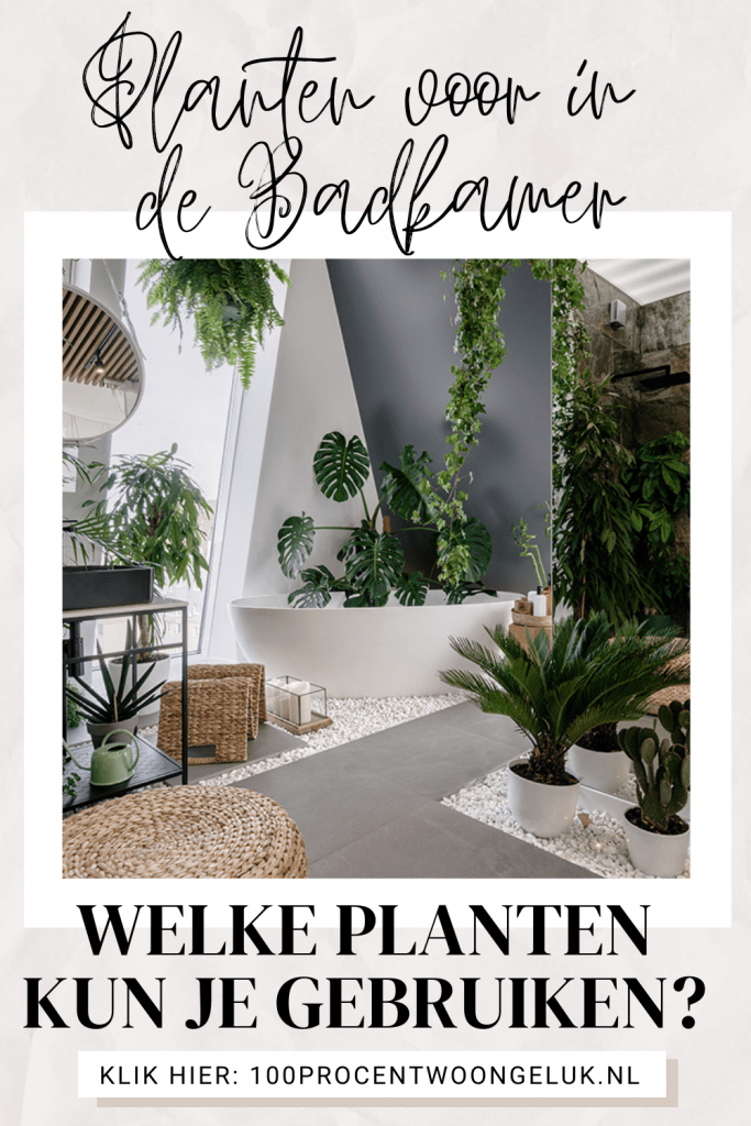 planten in badkamer planten voor in de badkamer badkamer plant hangplant badkamer