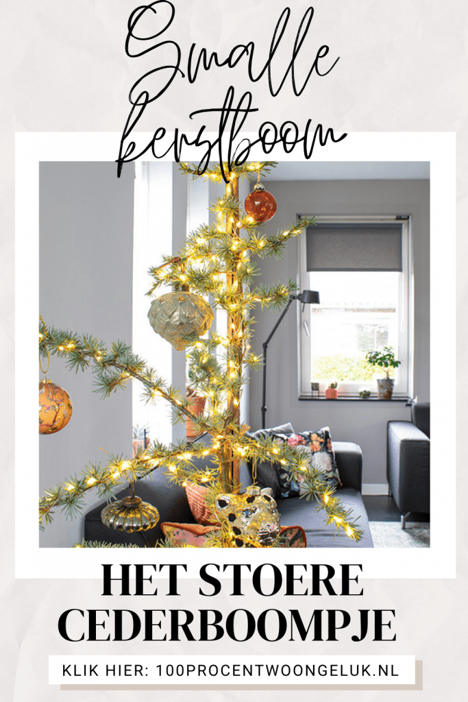 smalle kerstboom kerstboom smal smalle kerstboom met verlichting smalle hoge kerstboom echte smalle hoge kerstboom smalle echte kerstboom cederboom kerst cederboompje ceder kerstboom blauwe ceder kerstboom ceder boompje kerst blauwe spar blauwe ceder blauwe ceder op stam blauwe atlasceder