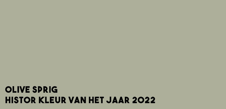 interieur kleuren 2022 kleur van het jaar 2022 flexa kleur van het jaar 2022 kleur trends 2022 trendkleuren 2022 kleurtrend 2022 interieur histor kleur 2022 karwei kleur 2022 verfkleuren 2022 kleuren woonkamer 2022 verfkleuren 2022