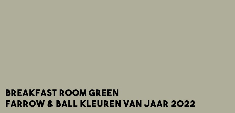 interieur kleuren 2022 kleur van het jaar 2022 flexa kleur van het jaar 2022 kleur trends 2022 trendkleuren 2022 kleurtrend 2022 interieur histor kleur 2022 karwei kleur 2022 verfkleuren 2022 kleuren woonkamer 2022 verfkleuren 2022