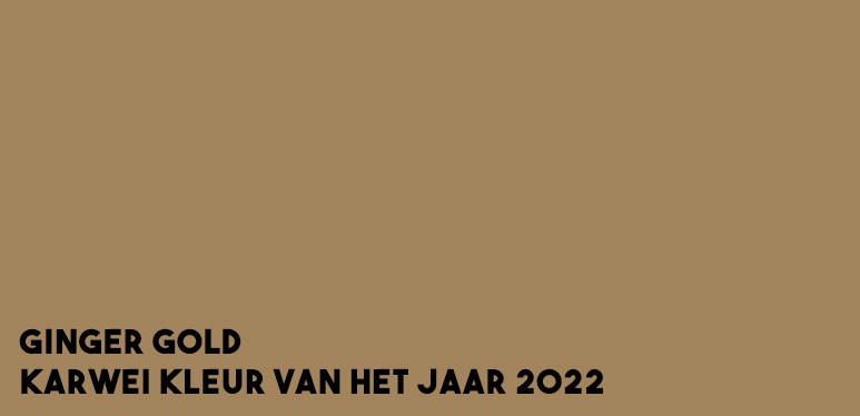 interieur kleuren 2022 kleur van het jaar 2022 flexa kleur van het jaar 2022 kleur trends 2022 trendkleuren 2022 kleurtrend 2022 interieur histor kleur 2022 karwei kleur 2022 verfkleuren 2022 kleuren woonkamer 2022 verfkleuren 2022