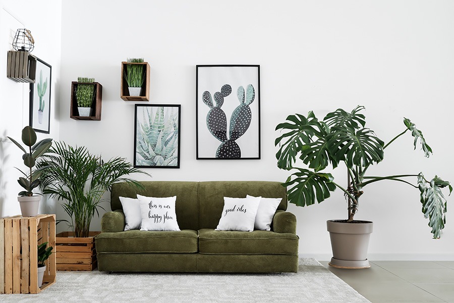 gatenplant stekken stekken gatenplant hoe stek je een monstera monstera blad stekken stekken monstera deliciosa monstera stekken monstera deliciosa stekken stekken monstera monstera stekken water monstera plant stekken