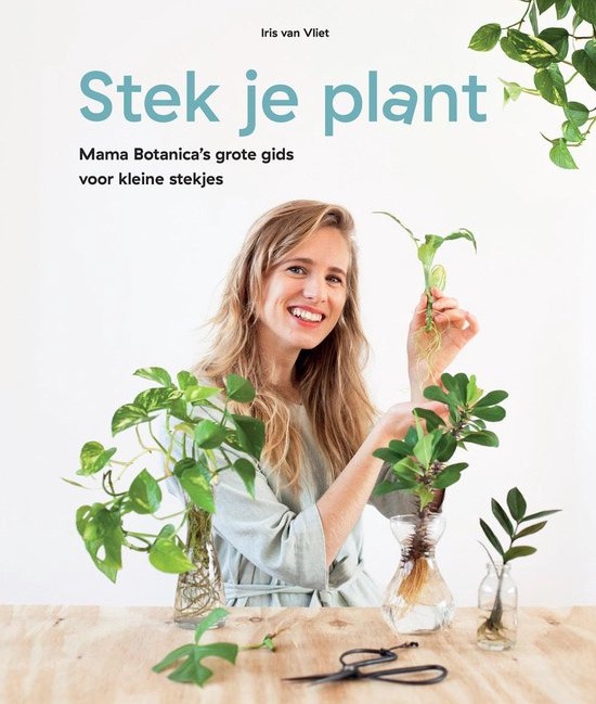 plantenboeken plantenboek planten boeken plantenboekje het grote plantenboek beste plantenboek plant boek kamerplanten boek boek planten verzorgen