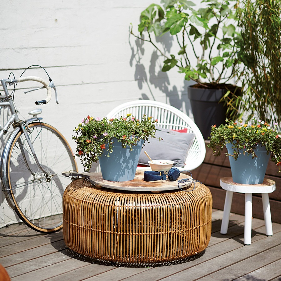 bloembakken buiten bloempot buiten grote bloempot buiten bloempotten voor buiten bloempotten buiten bloempot buiten groot plantenpot groot plantenbakken voor buiten buitenpotten grote bloembakken voor buiten plantenpot buiten hoge bloempot buiten elho bloempot buiten grote bloembakken buiten buitenpot groot buiten bloempot bloembakken voor buiten grote plantenpot buiten buiten potten grote plantenbakken tuin plantenpotten buiten buiten bloempot groot grote bloembak grote buiten bloempot