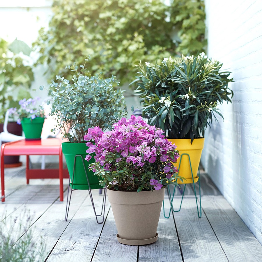 bloembakken buiten bloempot buiten grote bloempot buiten bloempotten voor buiten bloempotten buiten bloempot buiten groot plantenpot groot plantenbakken voor buiten buitenpotten grote bloembakken voor buiten plantenpot buiten hoge bloempot buiten elho bloempot buiten grote bloembakken buiten buitenpot groot buiten bloempot bloembakken voor buiten grote plantenpot buiten buiten potten grote plantenbakken tuin plantenpotten buiten buiten bloempot groot grote bloembak grote buiten bloempot