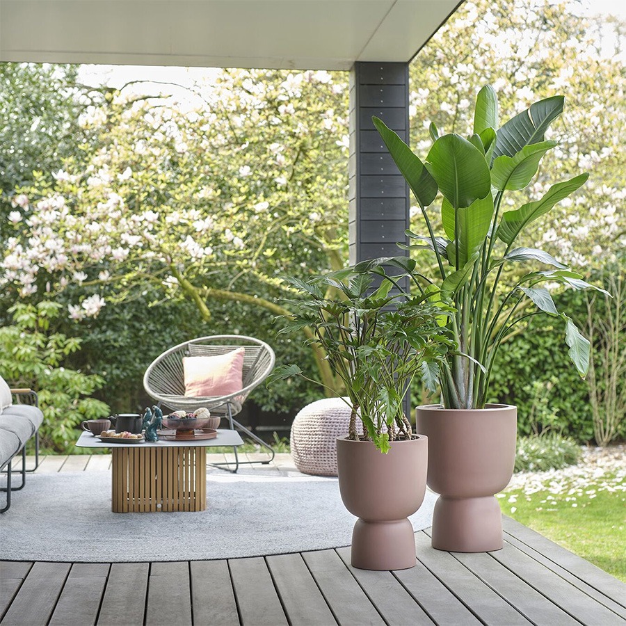 bloembakken buiten bloempot buiten grote bloempot buiten bloempotten voor buiten bloempotten buiten bloempot buiten groot plantenpot groot plantenbakken voor buiten buitenpotten grote bloembakken voor buiten plantenpot buiten hoge bloempot buiten elho bloempot buiten grote bloembakken buiten buitenpot groot buiten bloempot bloembakken voor buiten grote plantenpot buiten buiten potten grote plantenbakken tuin plantenpotten buiten buiten bloempot groot grote bloembak grote buiten bloempot