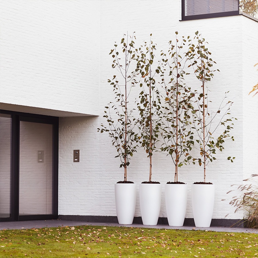 bloembakken buiten bloempot buiten grote bloempot buiten bloempotten voor buiten bloempotten buiten bloempot buiten groot plantenpot groot plantenbakken voor buiten buitenpotten grote bloembakken voor buiten plantenpot buiten hoge bloempot buiten elho bloempot buiten grote bloembakken buiten buitenpot groot buiten bloempot bloembakken voor buiten grote plantenpot buiten buiten potten grote plantenbakken tuin plantenpotten buiten buiten bloempot groot grote bloembak grote buiten bloempot 