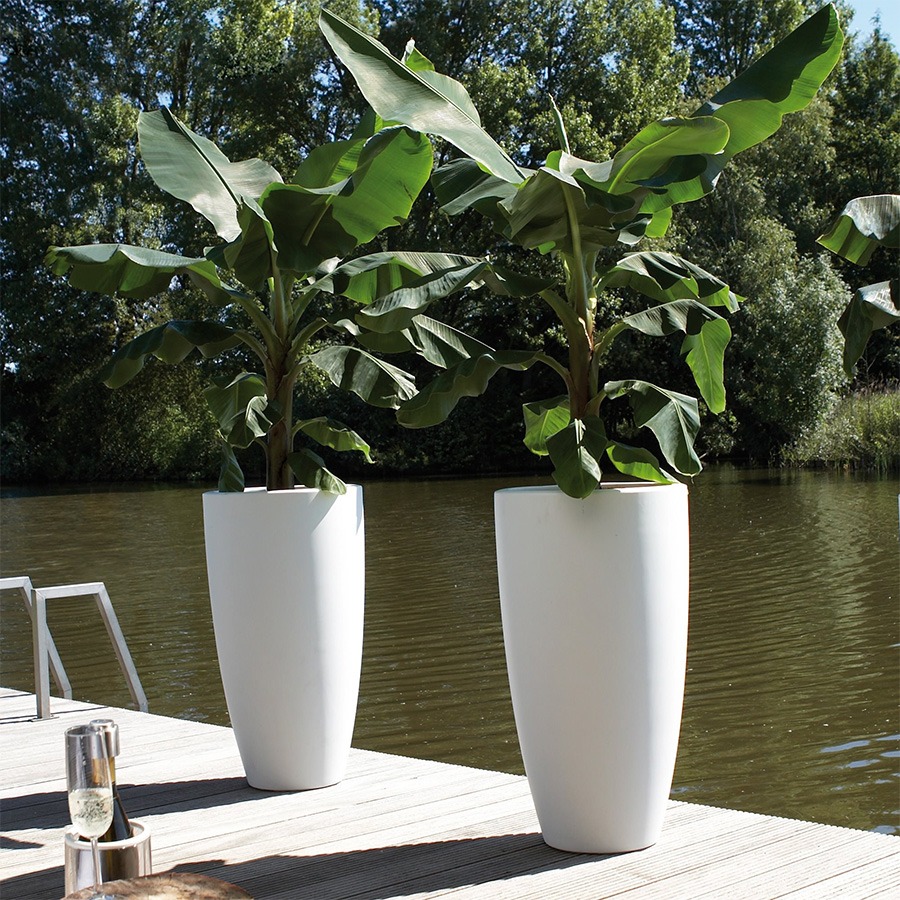 bloembakken buiten bloempot buiten grote bloempot buiten bloempotten voor buiten bloempotten buiten bloempot buiten groot plantenpot groot plantenbakken voor buiten buitenpotten grote bloembakken voor buiten plantenpot buiten hoge bloempot buiten elho bloempot buiten grote bloembakken buiten buitenpot groot buiten bloempot bloembakken voor buiten grote plantenpot buiten buiten potten grote plantenbakken tuin plantenpotten buiten buiten bloempot groot grote bloembak grote buiten bloempot