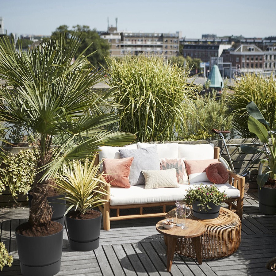 bloembakken buiten bloempot buiten grote bloempot buiten bloempotten voor buiten bloempotten buiten bloempot buiten groot plantenpot groot plantenbakken voor buiten buitenpotten grote bloembakken voor buiten plantenpot buiten hoge bloempot buiten elho bloempot buiten grote bloembakken buiten buitenpot groot buiten bloempot bloembakken voor buiten grote plantenpot buiten buiten potten grote plantenbakken tuin plantenpotten buiten buiten bloempot groot grote bloembak grote buiten bloempot