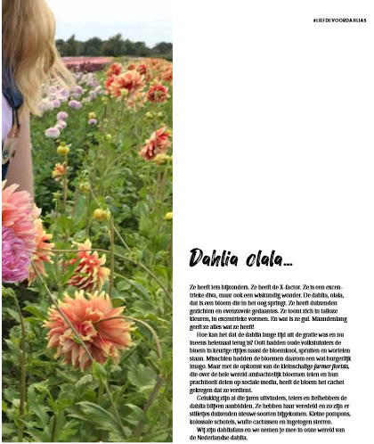 liefde voor dahlia's boek liefde voor dahlia's boek dahlia's boek over dahlia's dahlia bollen dahlia in pot dahlia soorten bijzondere dahlia's dahlia bloemen dahlia tuin