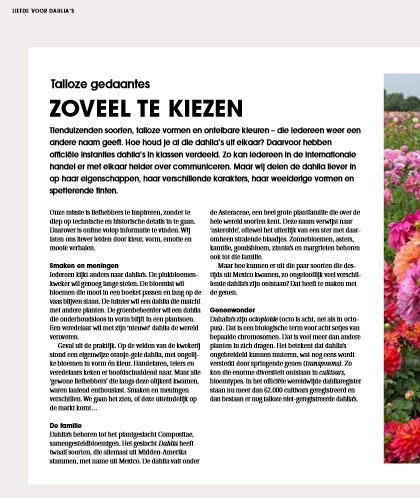 liefde voor dahlia's boek liefde voor dahlia's boek dahlia's boek over dahlia's dahlia bollen dahlia in pot dahlia soorten bijzondere dahlia's dahlia bloemen dahlia tuin