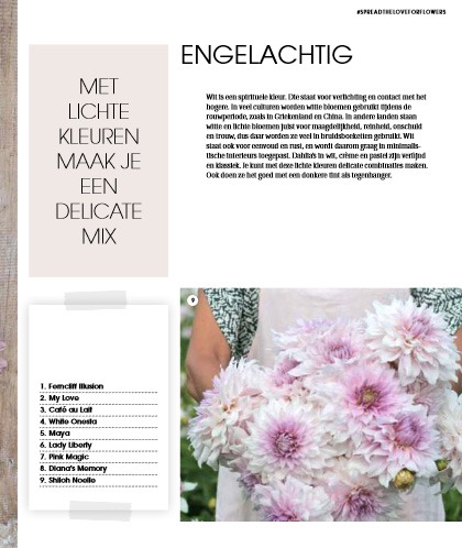 liefde voor dahlia's boek liefde voor dahlia's boek dahlia's boek over dahlia's dahlia bollen dahlia in pot dahlia soorten bijzondere dahlia's dahlia bloemen dahlia tuin