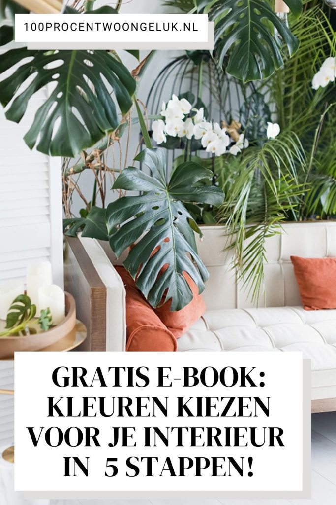 kleuren interieur kleuren kiezen interieur interieur kleuren 2021 interieur kleuren 2022 kleur je interieur interieur kleuren kleurenpalet interieur kleuren 2022 interieur kleurencombinaties interieur mooie muurkleuren kleur trends interieur 2022 kleuren interieur 2022 kleurenpaletten interieur kleurige interieurs e-book interieur