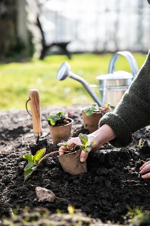 moestuin starten makkelijke moestuin moestuin voor beginners moestuin aanleggen beginners boek moestuin voor beginners hoe begin ik een moestuin hoe begin je een moestuin een moestuin beginnen eigen moestuin beginnen moestuin tips voor beginners wanneer beginnen met moestuin moestuin voor beginners boek starten met moestuin moestuin wanneer beginnen moestuin moestuinbak moestuinbakken zaaikalender moestuin verticale moestuin vierkante meter moestuin groentetuin mooie moestuin moestuintje 