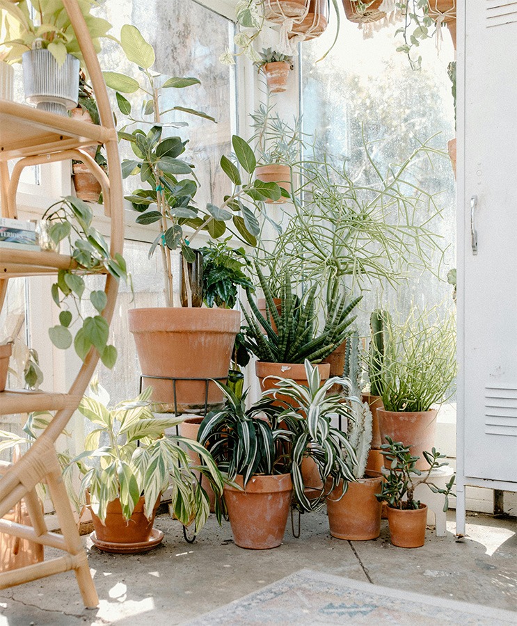 terracotta en groen terracotta combineren groen combineren groene muur woonkamer combineren combineren met groen donkergroen combineren donkergroen combineren interieur donkergroen combineren met fel groen combineren groen combineren interieur groen combineren met welke kleur groen combineren woonkamer groen en oranje combineren groen interieur combineren groen met terracotta groene muur combineren met andere kleur kleur combineren met groen kleuren combineren met terracotta legergroen combineren mosgroen combineren