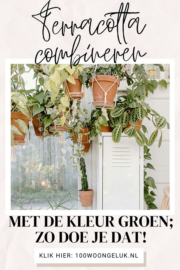 terracotta en groen terracotta combineren groen combineren groene muur woonkamer combineren combineren met groen donkergroen combineren donkergroen combineren interieur donkergroen combineren met fel groen combineren groen combineren interieur groen combineren met welke kleur groen combineren woonkamer groen en oranje combineren groen interieur combineren groen met terracotta groene muur combineren met andere kleur kleur combineren met groen kleuren combineren met terracotta legergroen combineren mosgroen combineren