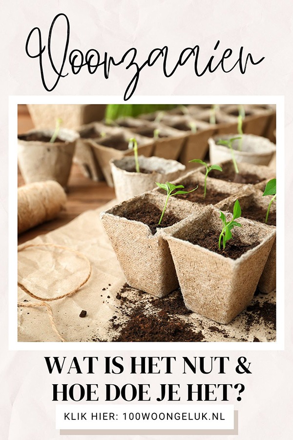 voorzaaien binnen voorzaaien groenten voorzaaien groenten voorzaaien binnenshuis zaaien makkelijke moestuin voorzaaien moestuin voorzaaien moestuin voorzaaien maart strobloemen voorzaaien voorzaai bakjes voorzaai bakken voorzaai potjes voorzaaien binnen voorzaaien hoe doe je dat voorzaaien in huis voorzaaien in maart voorzaaien tips voorzaaien vensterbank zaadjes binnen voorzaaien zaaien in koude bak voorzaaien bloemen bloemen binnen voorzaaien bloemen voorzaaien bloemen voorzaaien februari bloemen voorzaaien maart