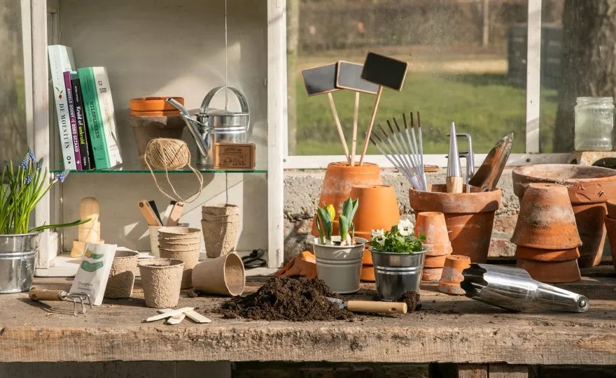 voorzaaien binnen voorzaaien groenten voorzaaien groenten voorzaaien binnenshuis zaaien makkelijke moestuin voorzaaien moestuin voorzaaienmoestuin voorzaaien maart strobloemen voorzaaien voorzaai bakjes voorzaai bakken voorzaai potjes voorzaaien binnen voorzaaien hoe doe je dat voorzaaien in huis voorzaaien in maart voorzaaien tips voorzaaien vensterbank zaadjes binnen voorzaaien zaaien in koude bak voorzaaien bloemen bloemen binnen voorzaaien bloemen voorzaaien bloemen voorzaaien februari bloemen voorzaaien maart